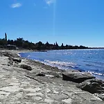 App Palcic K Daire *