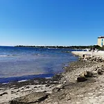 App Palcic K Daire *