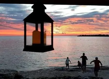 App Palcic K *