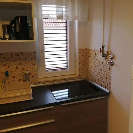 App Palcic K Apartment Novigrad (Istria)