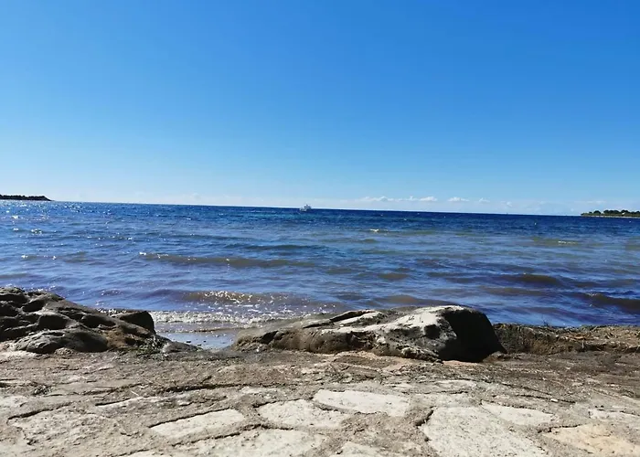 Apartman App Palcic K