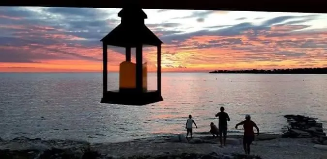 App Palcic K *