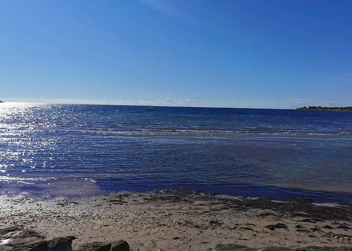 App Palcic K