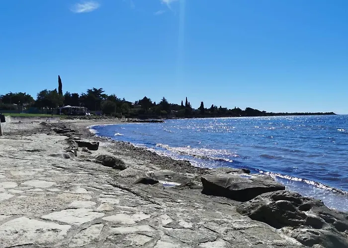 App Palcic K 아파트 *