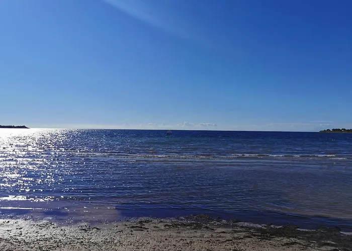 App Palcic K