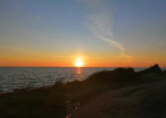 Apartman App Palcic K