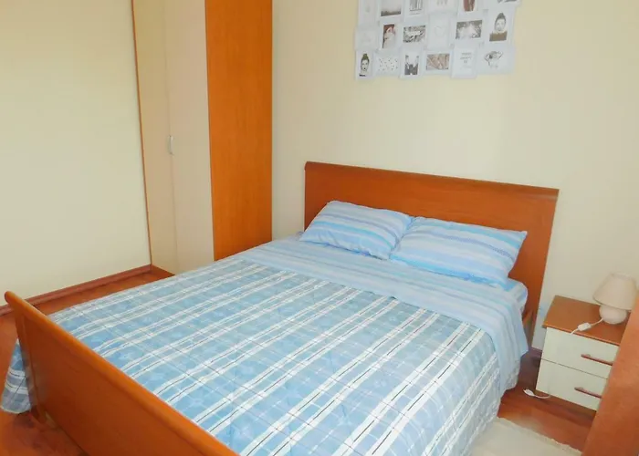 App Palcic K