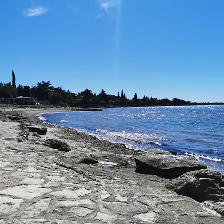 App Palcic K Apartament *