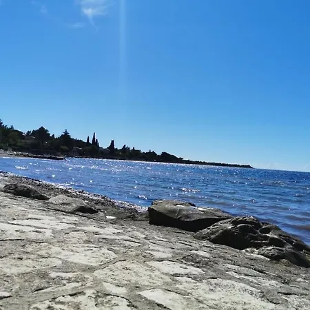 App Palcic K Novigrad (Istria)