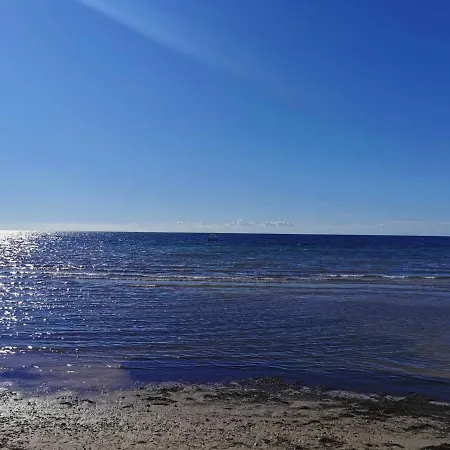App Palcic K