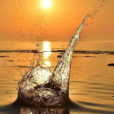 App Palcic K Lejlighed