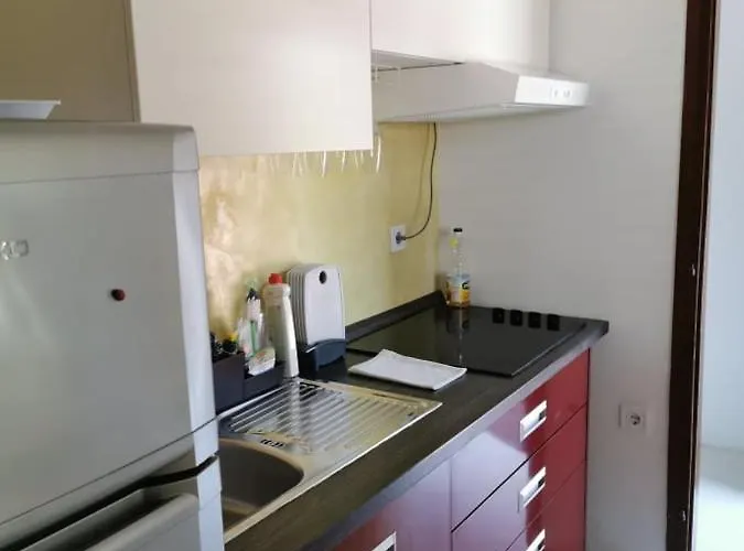 Appartement App Palcic K Novigrad Istria