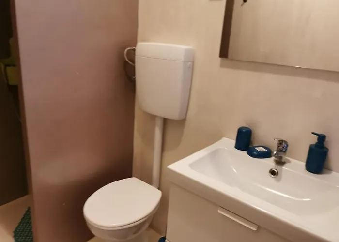 App Palcic K Novigrad Istria