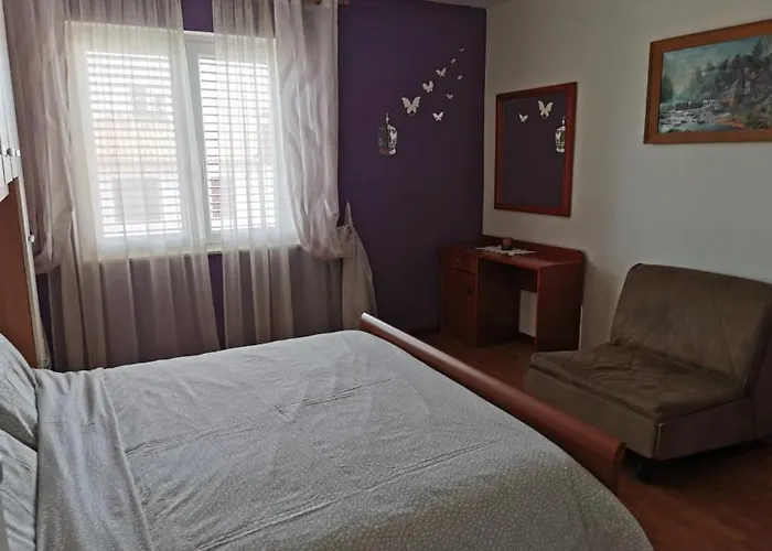 App Palcic K Novigrad Istria