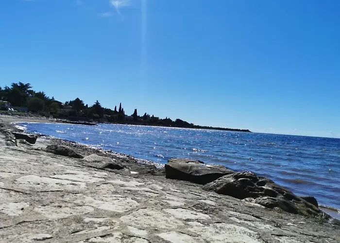 App Palcic K Novigrad Istria