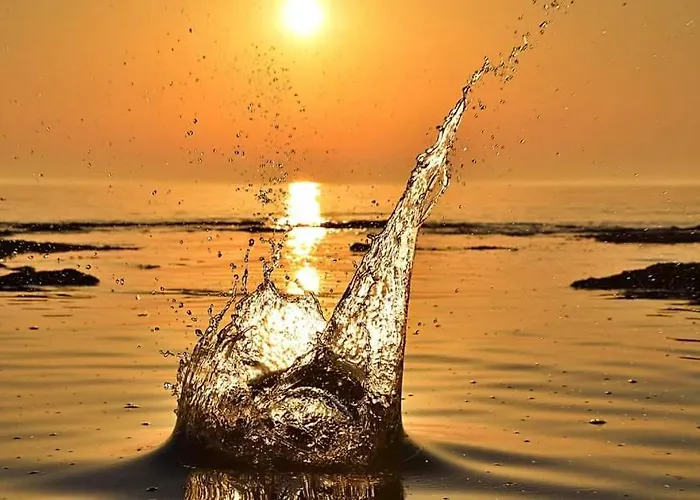 App Palcic K Appartement