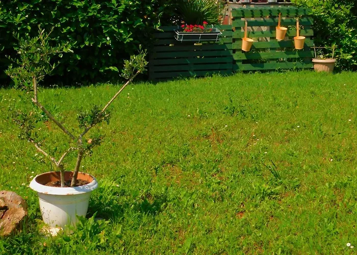 Appartement App Palcic K