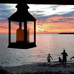 App Palcic K *
