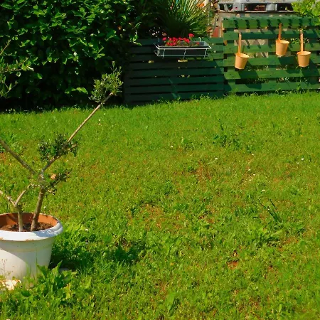 Apartamento App Palcic K
